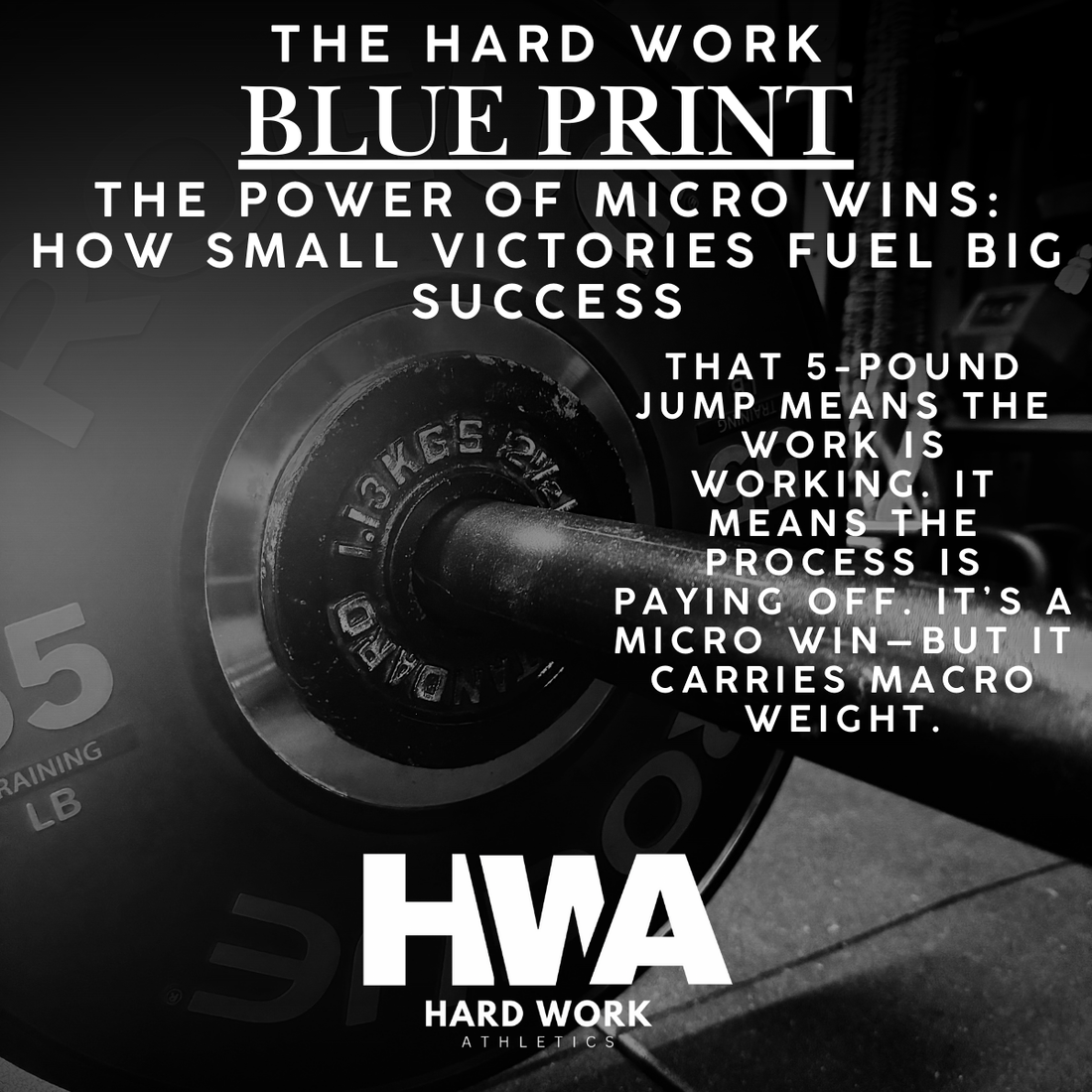THE POWER OF MICRO WINS: HOW SMALL VICTORIES FUEL BIG SUCCESS